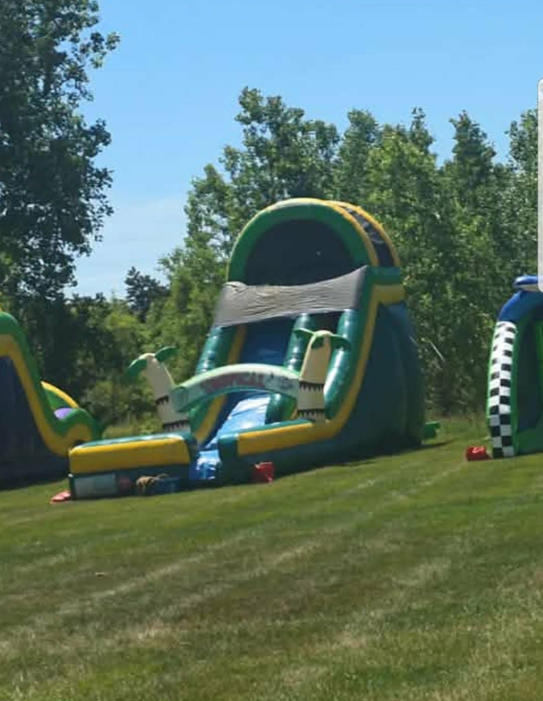 16' Tropical Slide rental — BSA Events Metro Detroit