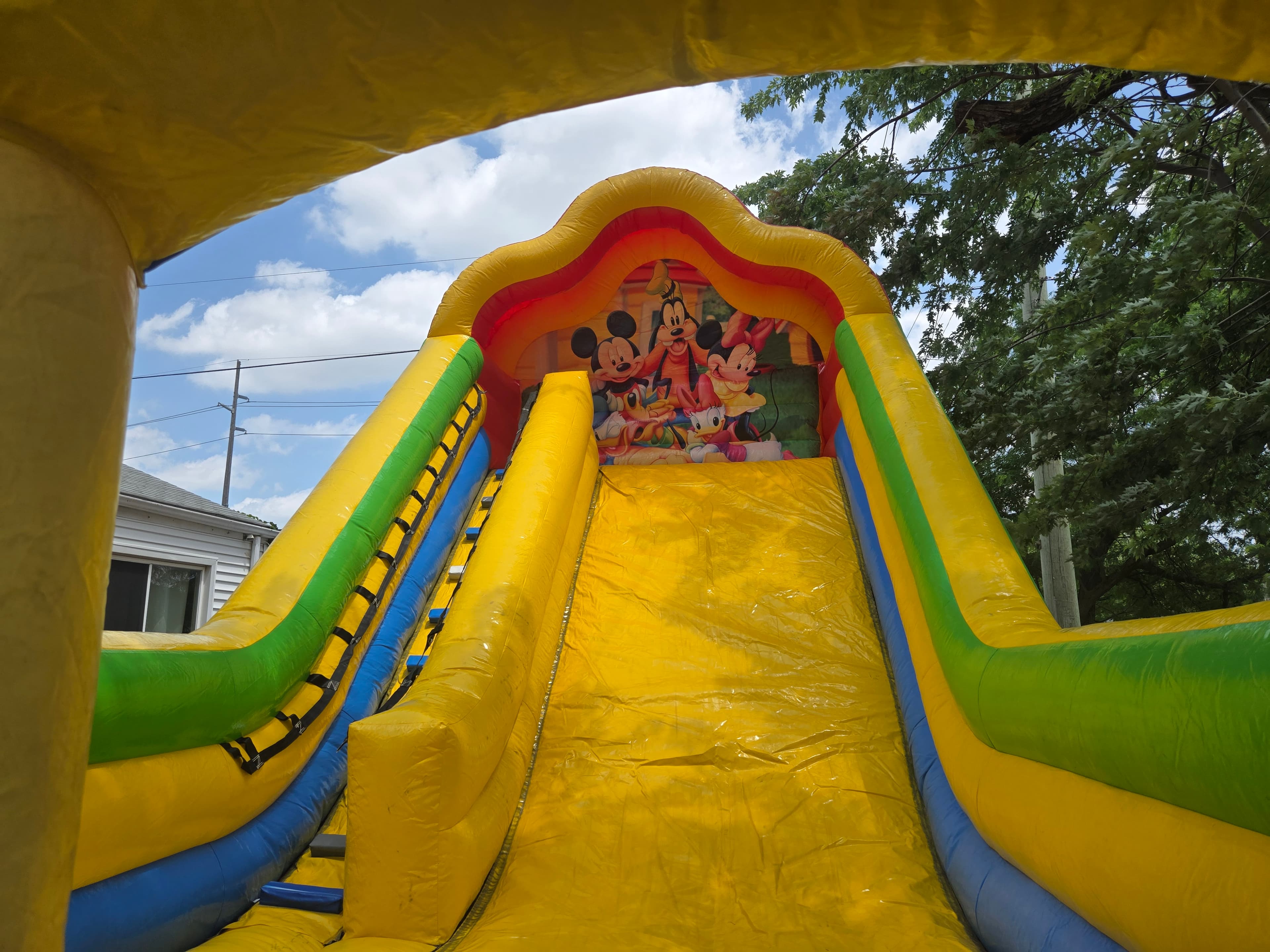 Disney 16' Dry Slide rental photo — BSA Events