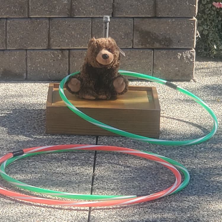 Ring a Bear - Hula Hoop Toss game rental photo — BSA Events